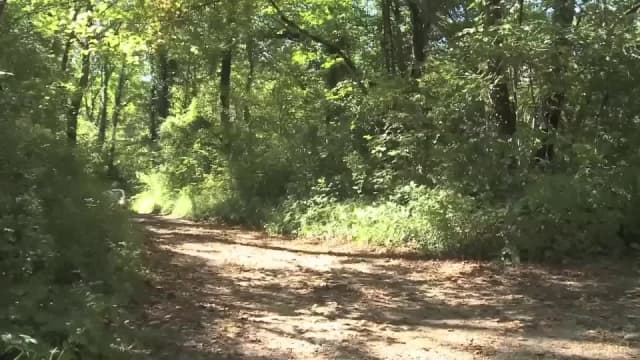 O garoto vai ser fodido por seus amigos no lago boafoda