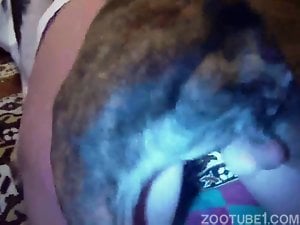 Most recent videos page porn tubes video