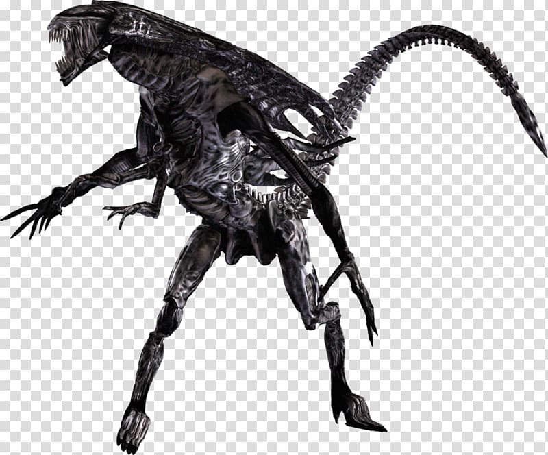 Predator alien requiem youtube
